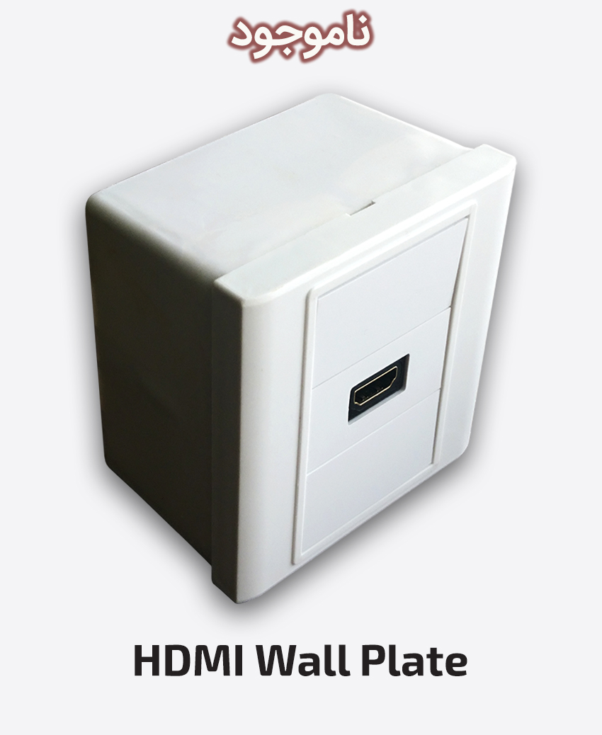 HDMI Wall Plate