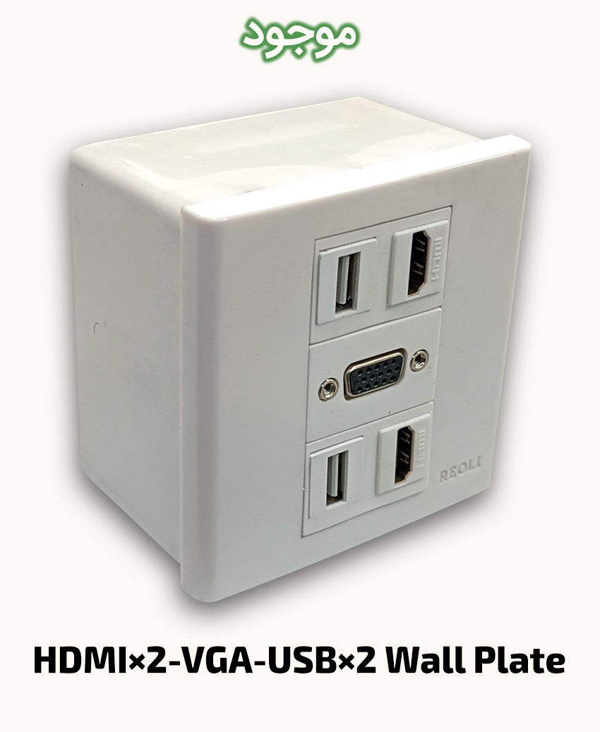 HDMI×2-VGA-USB×2 Wall Plate
