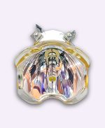 USHIO NSHA 230YT 55×55