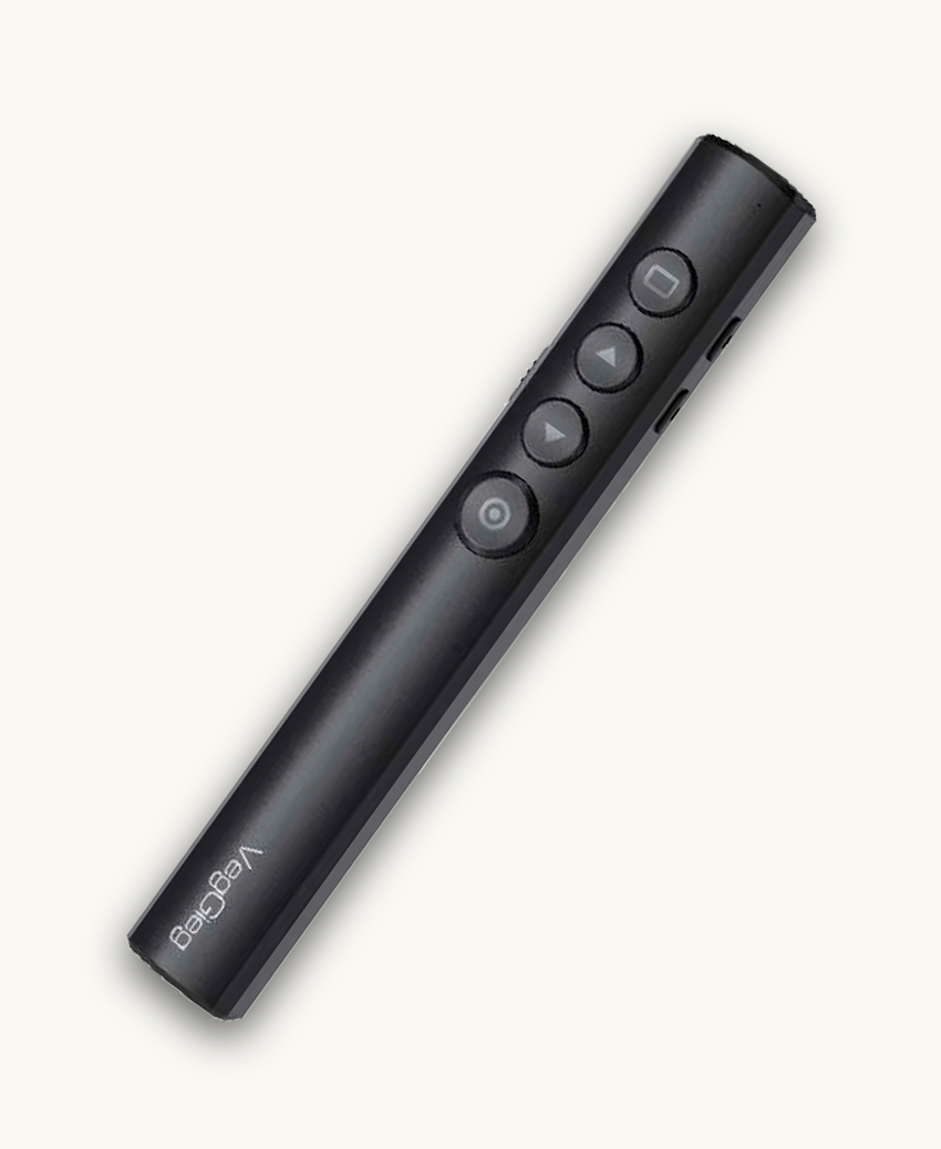 VegGieg V-LP003