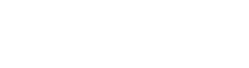 nec ve 303 americas version
